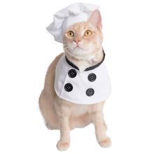 Load image into Gallery viewer, Cat wears Chef Uniform Pet Costume
