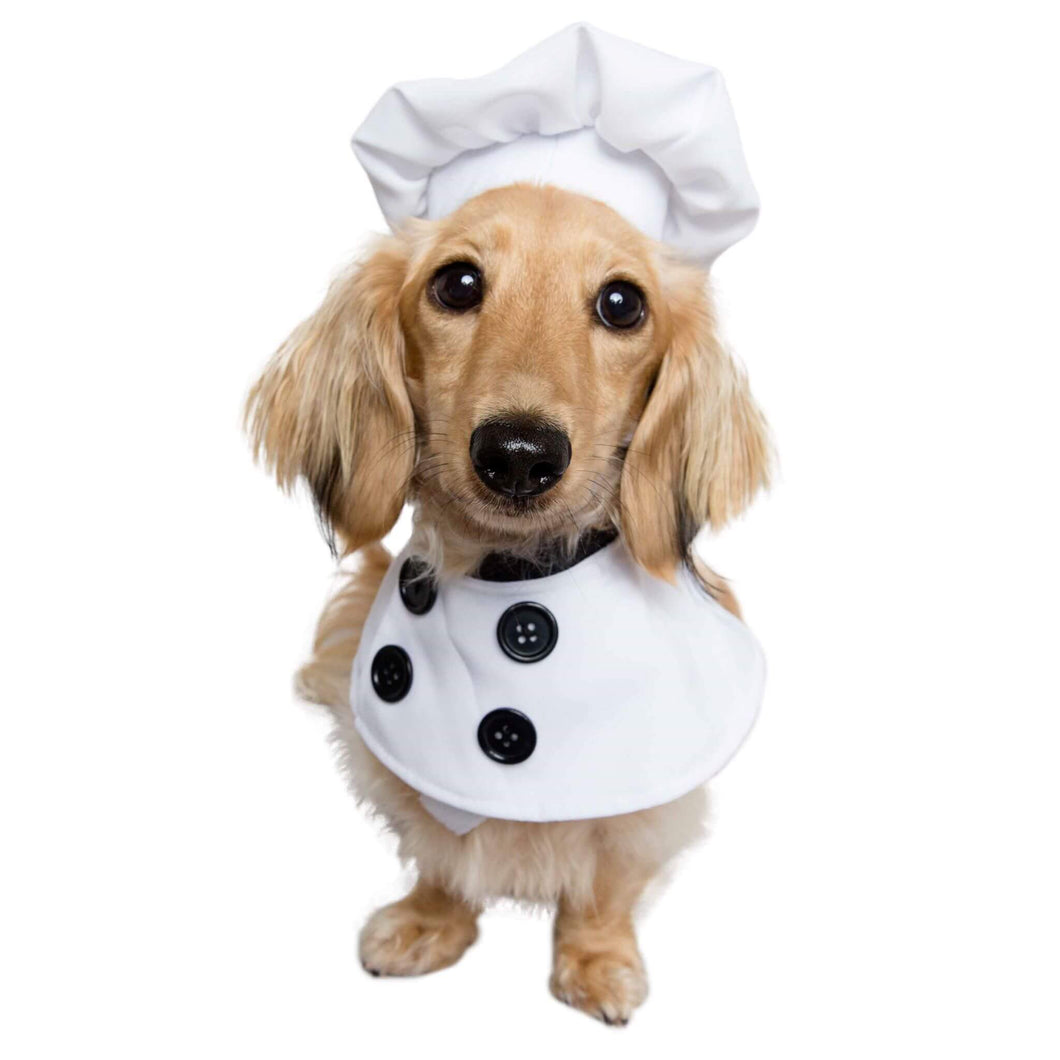 Small breed dog models Chef Uniform Dog Costume