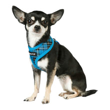Load image into Gallery viewer, Chihuahua wears Blue Tartan Dog Harness
