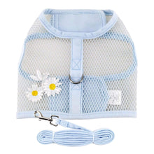 Load image into Gallery viewer, Cool Mesh Dog Harness with Leash - Blue Daisy
