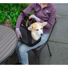 Load image into Gallery viewer, Dog lies in Kurgo Explorer Dog Carrier

