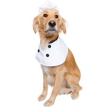 Load image into Gallery viewer, Dog looks smart in Chef Uniform Dog Costume
