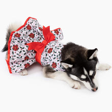 Load image into Gallery viewer, Husky pup models Holiday Dog Harness Dress - Holly
