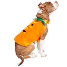Load image into Gallery viewer, Pumpkin Dog Costume
