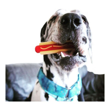 Load image into Gallery viewer, Dog carries the SodaPup Hot Dog Power Chewer Nylon Dog Chew Toy
