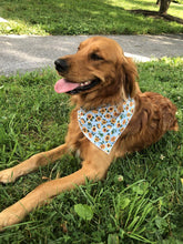 Load image into Gallery viewer, Dog looking very dapper wearing sunflower bandana
