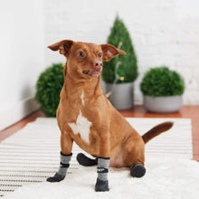 Load image into Gallery viewer, Dog Models All Terrain Dog Boots
