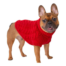 Load image into Gallery viewer, Dog models Chalet Dog Sweater in Red

