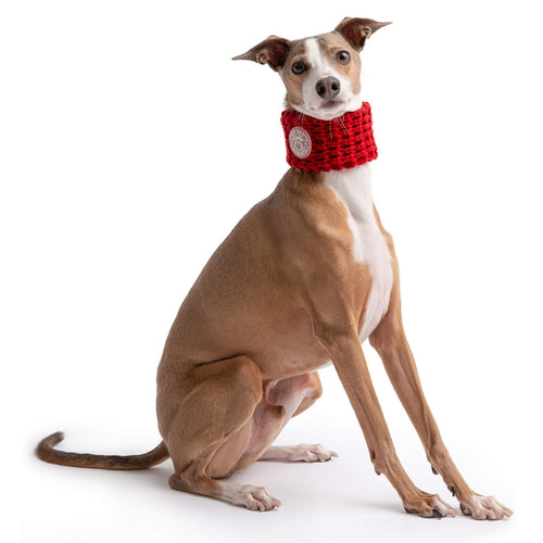 Dog Models Chalet Tube Scarf for Dogs in Red