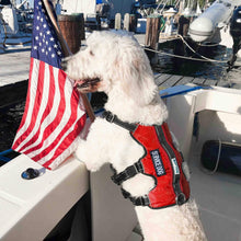 Load image into Gallery viewer, Dog Wears Red Service Dog Harness on Boat
