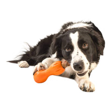 Load image into Gallery viewer, Dogs love gnawing on the Qwizl Chew Toy
