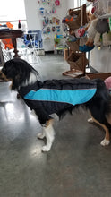 Load image into Gallery viewer, Dog models the Ferndale Waterproof Dog Coat in Sky
