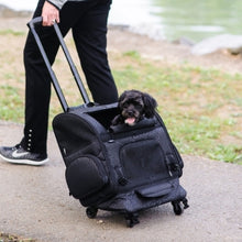 Load image into Gallery viewer, The Geometric Roller Pet Carrier offers a comfortable spot for your pet
