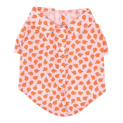 Peachy Keen Dog Shirt features crisp collar and cute little buttons