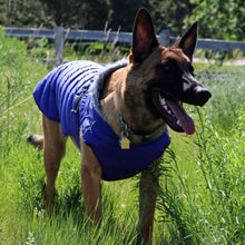 Load image into Gallery viewer, Shepherd Wears Alpine Extreme Weather Puffer Dog Coat in Blue

