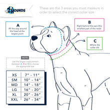 Cargar imagen en el visor de la galería, 2 Hounds Design Measurement Chart - Martingale Dog Collar
