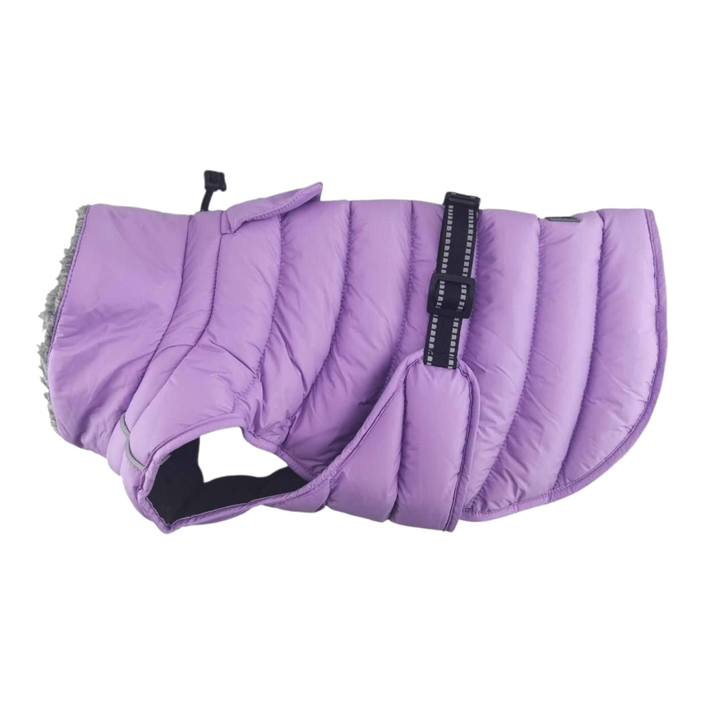 Plum-colored dog coat with a brand label on a white background