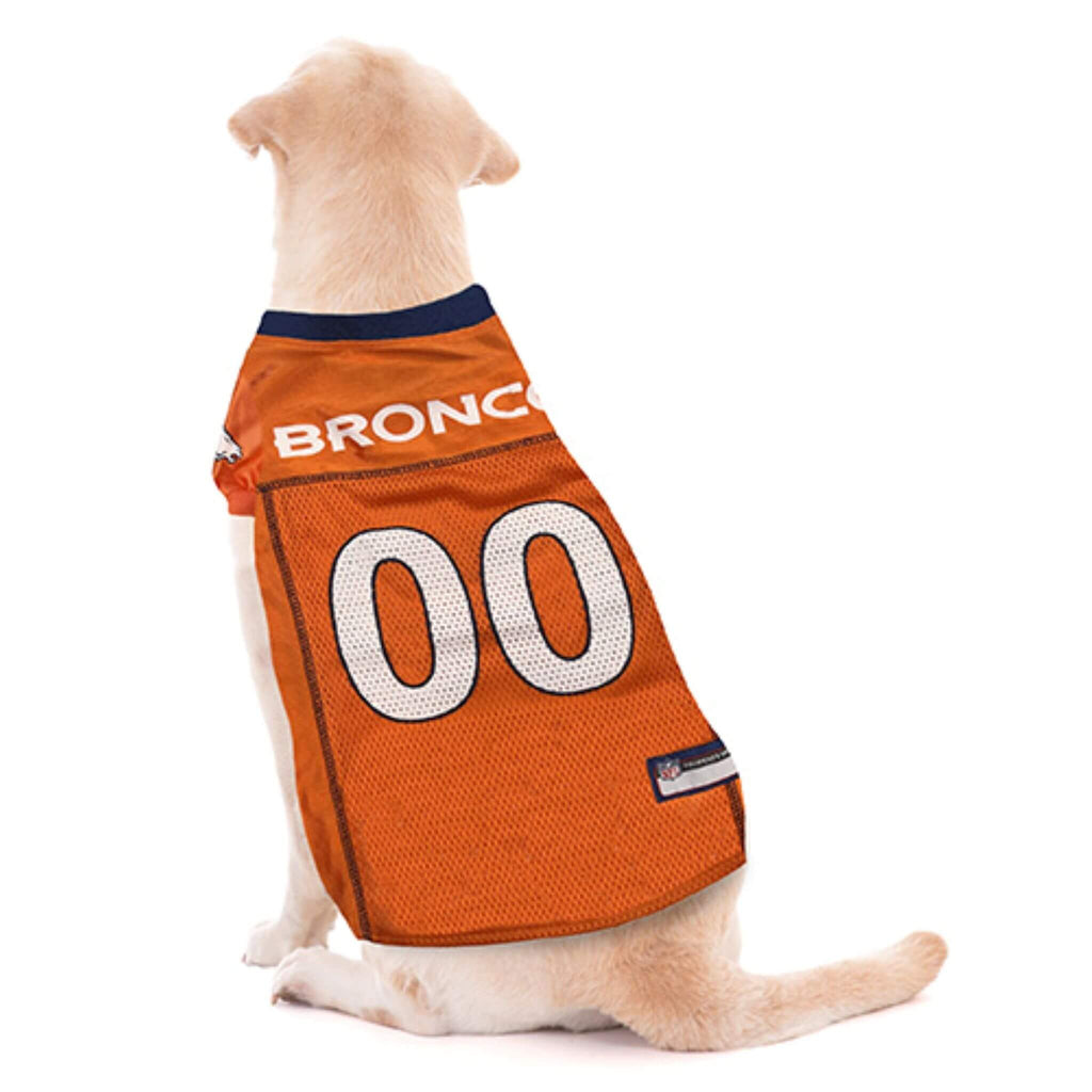 Dog wearing an orange Broncos jersey on a white background