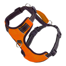 Cargar imagen en el visor de la galería, Chesapeake Adventure Dog Harness in Blaze Orange

