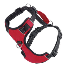 Cargar imagen en el visor de la galería, Chesapeake Adventure Dog Harness in Clifford Red
