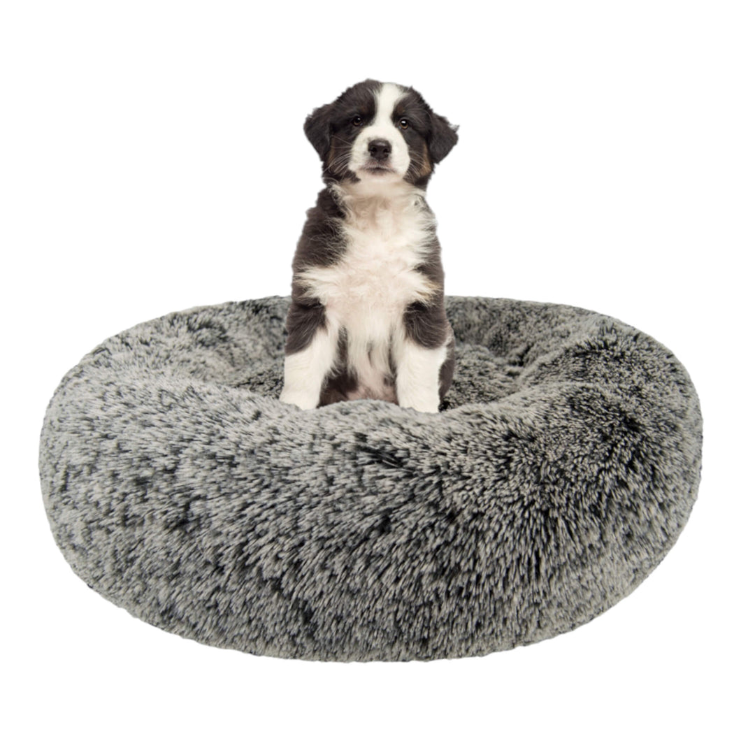 Cute dog sits on his Snuggle Dog Bed in Midnight Frost