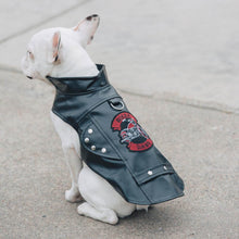 Load image into Gallery viewer, Cute pup models Black Biker Dawg Motorcycle Dog Jacket
