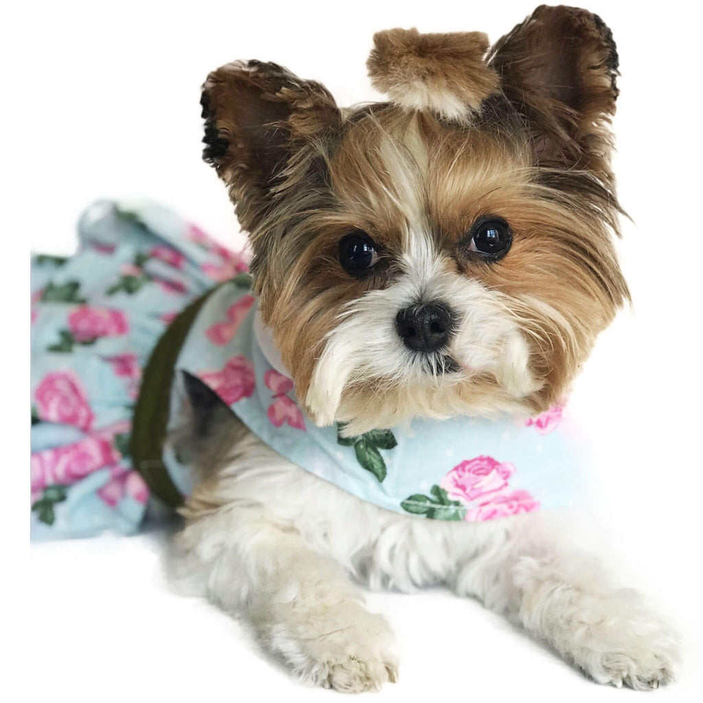 Pink Rose Dog Harness Dress with Leash