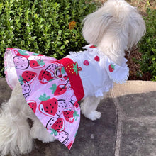 Cargar imagen en el visor de la galería, Cute Strawberry Picnic Dog Dress with Matching Leash
