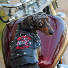 Load image into Gallery viewer, Dachshund models Black Biker Dawg Motorcycle Dog Jacket
