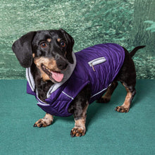 Load image into Gallery viewer, Dachshund models the Weekender Sweatshirt Dog Hoodie in Purple
