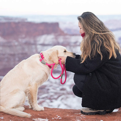 Dog and her owner show off the Mod Essential Rope Dog Leash in Pink