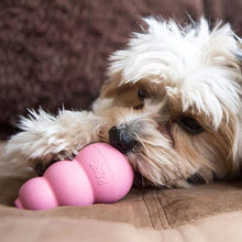 Load image into Gallery viewer, Dog chews on KONG Puppy Chew Toy in Pink
