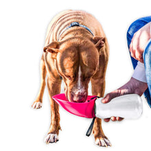 Load image into Gallery viewer, Dog demonstrates use of Fold-A-Bowl Portable Pet Water Bottle
