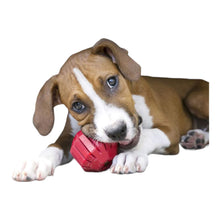 Load image into Gallery viewer, Dog enjoys gnawing on his KONG Stuff-A-Ball
