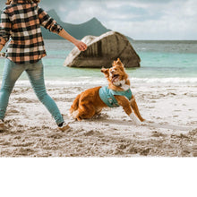 Load image into Gallery viewer, Dog frolics by the ocean wearing an aquamarine Hurtta Cooling Wrap 
