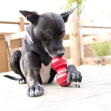 Load image into Gallery viewer, Dog gnaws on her Dental Dog Chew Toy
