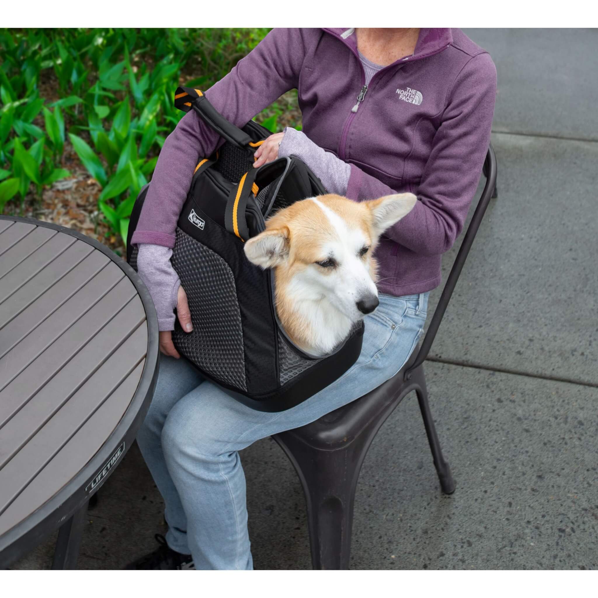 Explorer Carrier Dog Carrier Carrier for Dogs Kurgo – UKUSCAdoggie