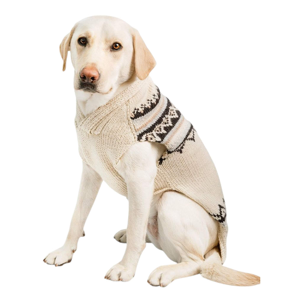 Large breed dog wearing a cream knitted sweater with black patterns on a white background
