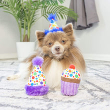 Load image into Gallery viewer, Dog loves his It&#39;s My Barkday Dog Toy Collection
