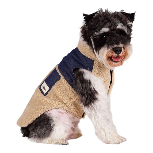 Dog models Cambridge Denim Patchwork Dog Coat