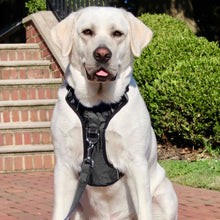 Load image into Gallery viewer, Dog models Chesapeake Adventure Dog Harness in Covert Black
