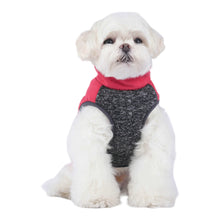 Cargar imagen en el visor de la galería, Dog models Cheshire Modern Step-In Dog Coat
