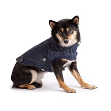Load image into Gallery viewer, Dog models Denim Dog Jacket in Blue
