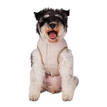Load image into Gallery viewer, Dog models Durham Dog Coat
