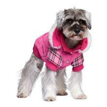 Load image into Gallery viewer, Dog models Highland Lady Quilted Tartan Dog Coat
