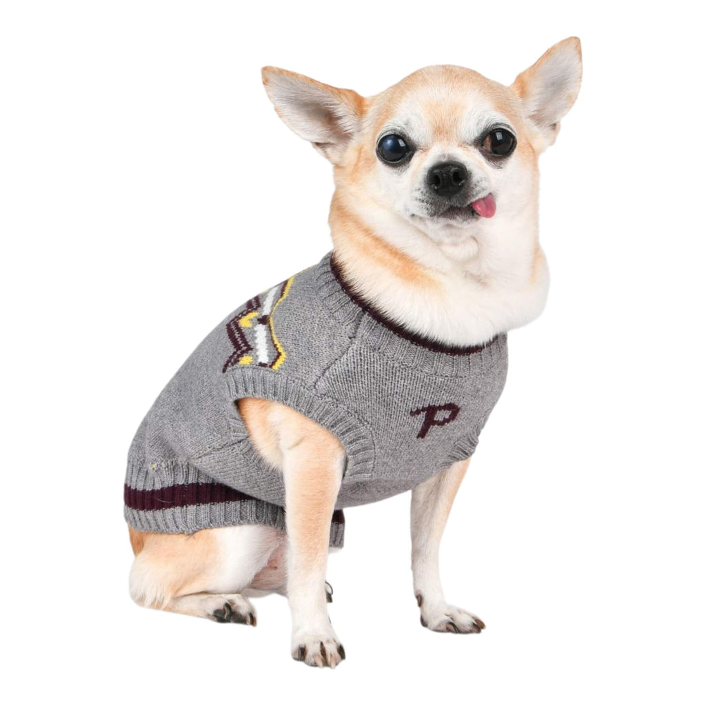 Small dog wearing a gray sweater with a logo on a white background