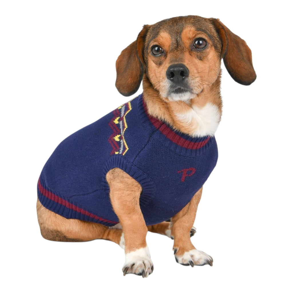 Dog wearing a blue sweater with red trim on a white background