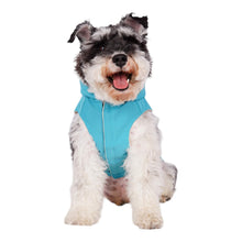 Load image into Gallery viewer, Dog models Manchester Urban Dog Raincoat
