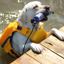 Load image into Gallery viewer, Dog models Monterey Bay Offshore Dog Life Jacket in Yellow with Blue trim
