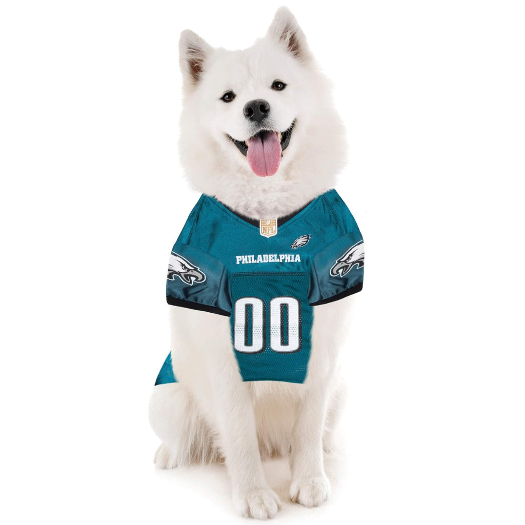 White dog wearing a teal Philadelphia Eagles pet jersey on a white background